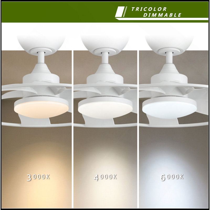 Light Pro 22 po Ventilateur de plafond intelligent à DEL avec moteur à courant continu, Blanc