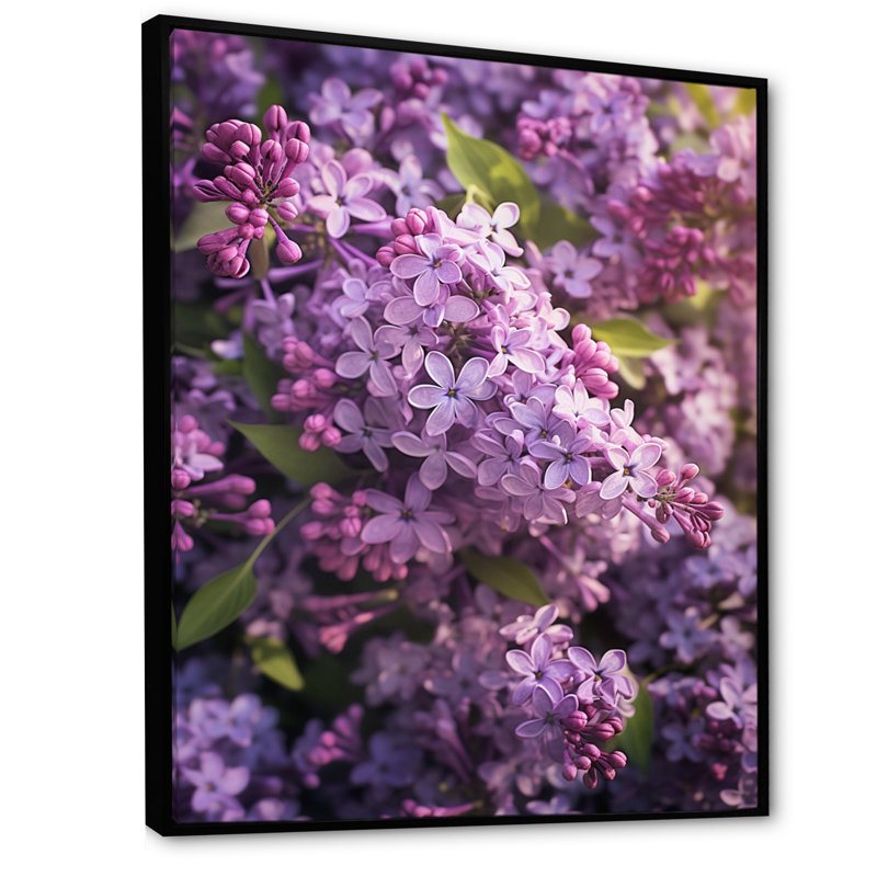 «Lilacs mauves», impression sur toile, H 44 po x l 34 po x P 1,5 po, Toile noire