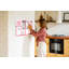 Magnetic Glass Dry Erase Board