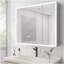 Medicine Cabinet With LED Vanity Mirror, Anti-Fog Recessed Or Surface Mount-1112317643