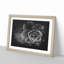 Succulent Plant - Picture Frame Graphic Art Print-56876822-56876820