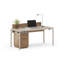 Luma 2 Piece Glass Rectangular Standing Desk Office Set