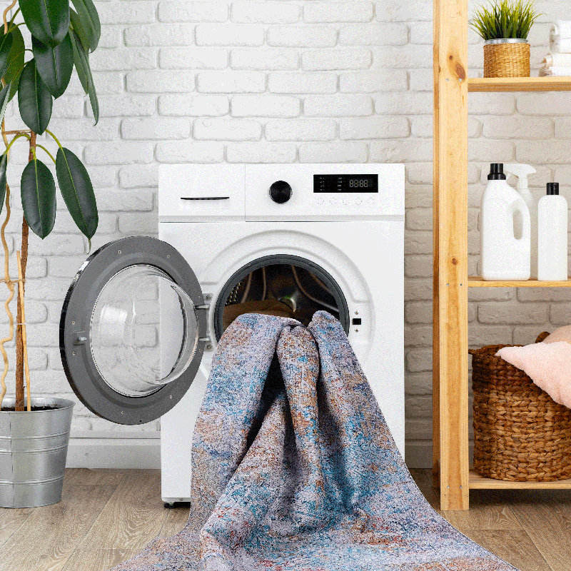 Washable Low-pile Area Rug – Soft, Pet-friendly & Stain-resistant Decor(8' X 10'), Rectangle 8' x 10'