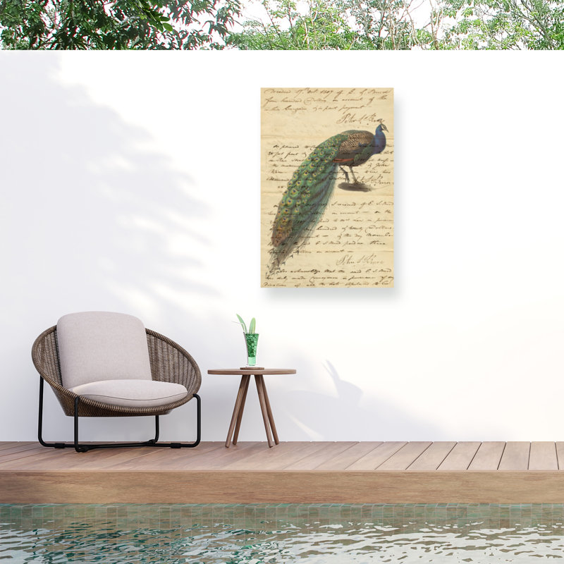 Toile d'extérieur Marcus Jules Peacock, H 12 po x l 19 po