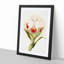 Magnolia Flowers Illustration Tab. 46 by Frederick Sander - Picture Frame Painting Print-55758912-55758914