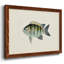 "Tropical Fish Collection VI", reproduction d'art sur toile-96280035-96280043
