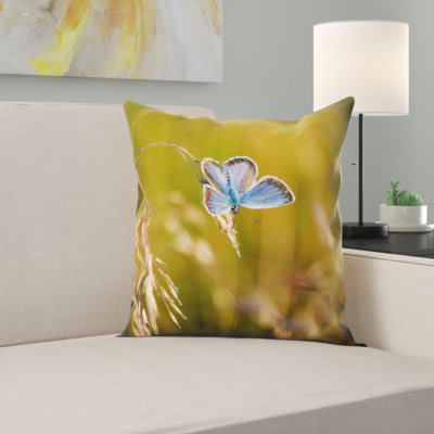 Butterfly Square Pillow Cover & Insert