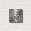 «Parisian Hydrangeas II» par Paul Brent-1356315905