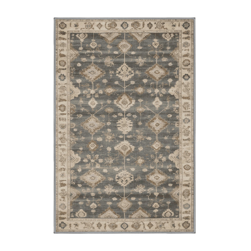 Machine Washable Overdyed Gray Area Rug, Rectangle 4' x 6'