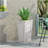 PLANTER