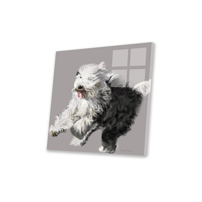 Old English Sheepdog Print On Acrylic Glass