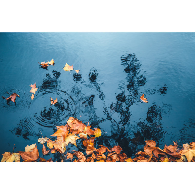 Autumn Leaves on Water by Borchee, 12" H x 18" W