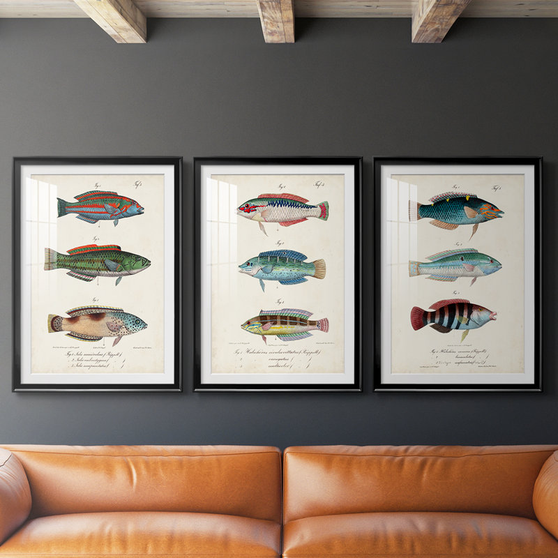 Antique Fish Trio I - Impression personnalisée de qualité supérieure avec cadre mat - 3 pièces, Noir, H 30 po x l 63 po