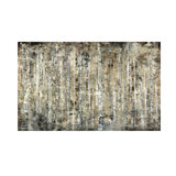 Winter Birches Print