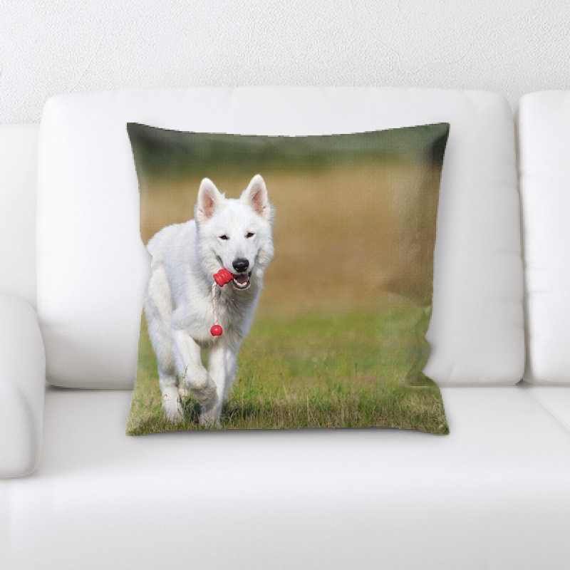 Coussin décoratif chien swiss berger