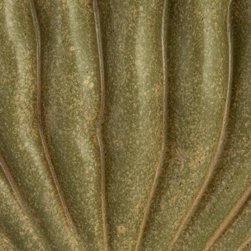 Jillien Stoneware Table Vase