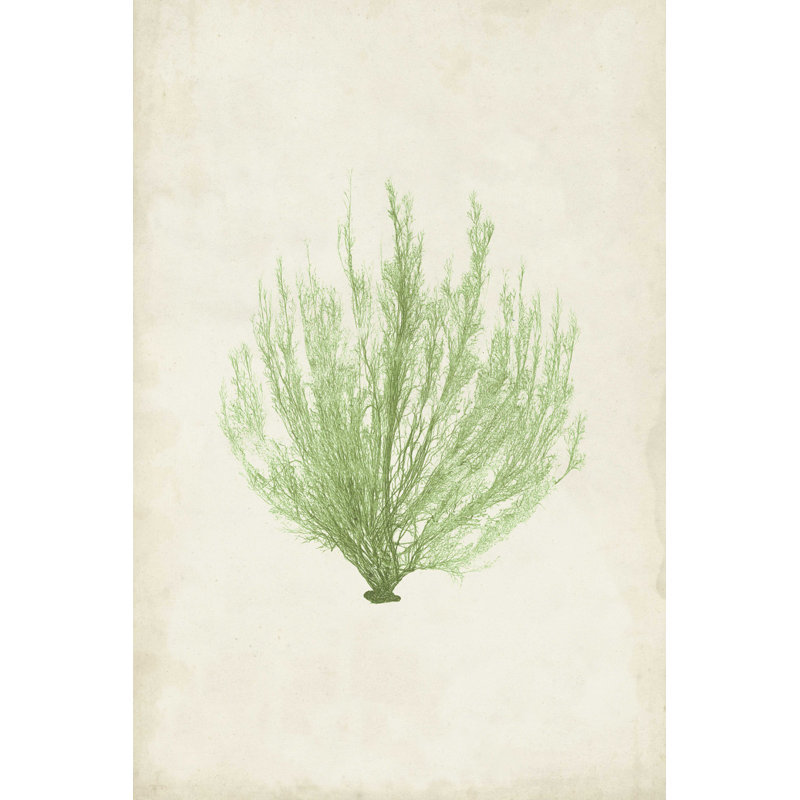 Peridot Seaweed VI, H 18 po x l 12 po