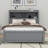 Bookcase Full Size Bed with Trundle, Drawers and USB Plugs-93328680