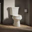Wellworth™ 1.6 GPF Elongated Two-Piece Toilet (Seat Not Included)-101431843-10397105