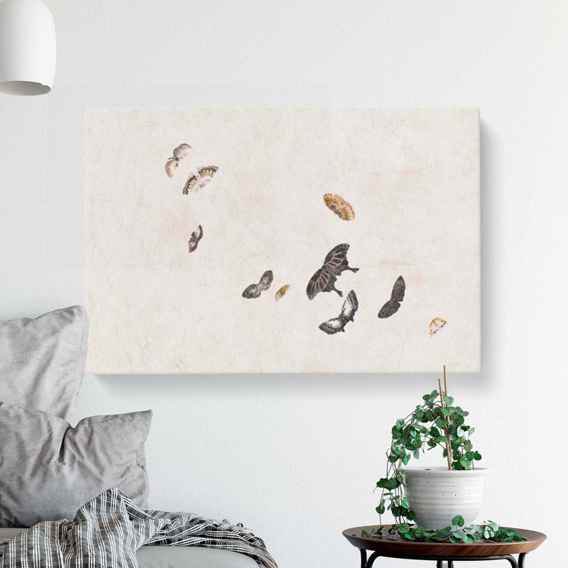 Collection Of Butterflies by Shibata Zeshin - Wrapped Canvas, 50cm H x 76cm W x 3cm D