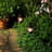 Garceau Metal Lantern with Shepherd's Hook - 2 Count