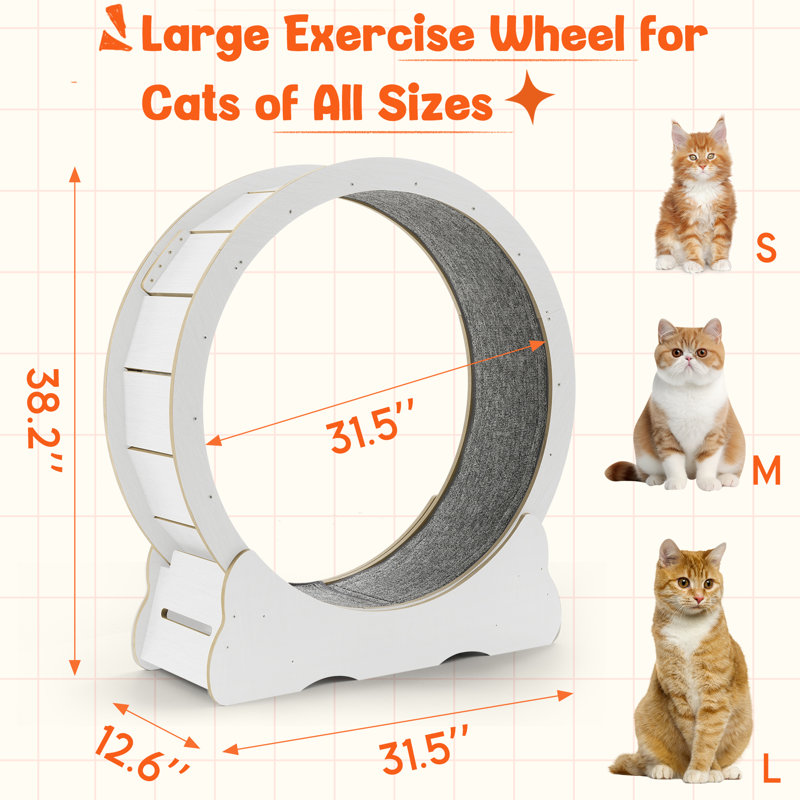 Tapis roulant d'intérieur pour animal de compagnie, H 38,2 po x l 31,5 po x P 12,6 po, Blanc