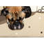 Tapis pour chien Swaggy-102157860