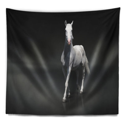 Cheval noir isolé sur une tapisserie noire