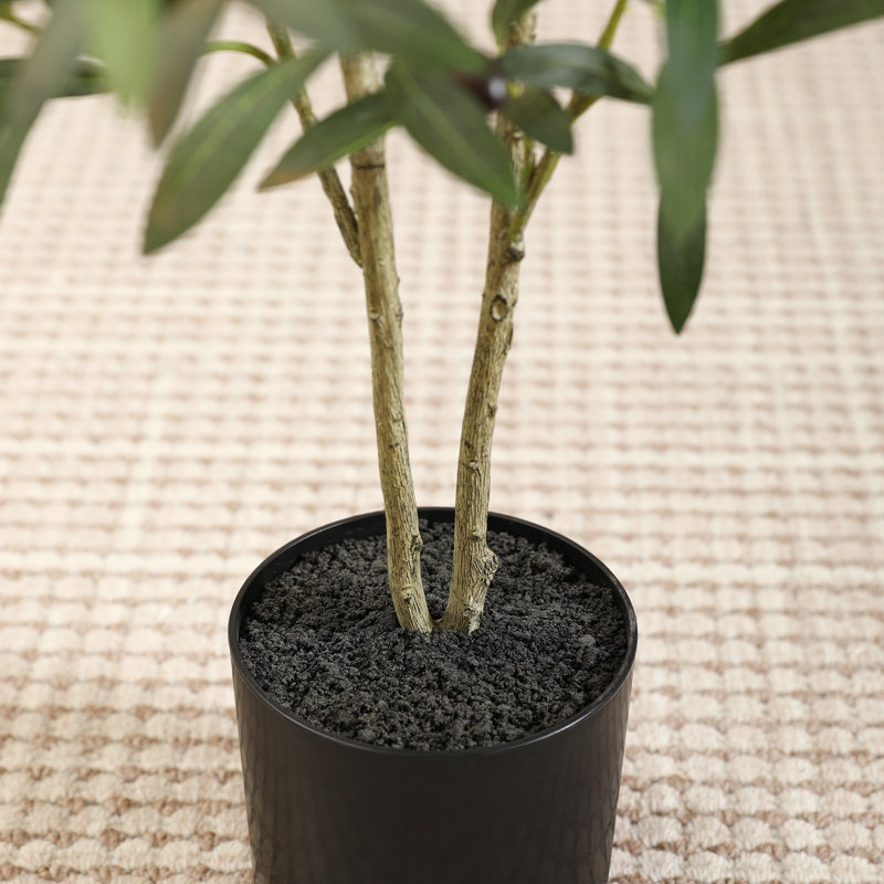 Arbre en plastique artificiel Adcock, H 48 po x l 46 po x P 46 po