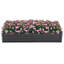 Lit de jardin surélevé Shumel-2121315986
