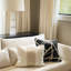 Dosman Table Lamp