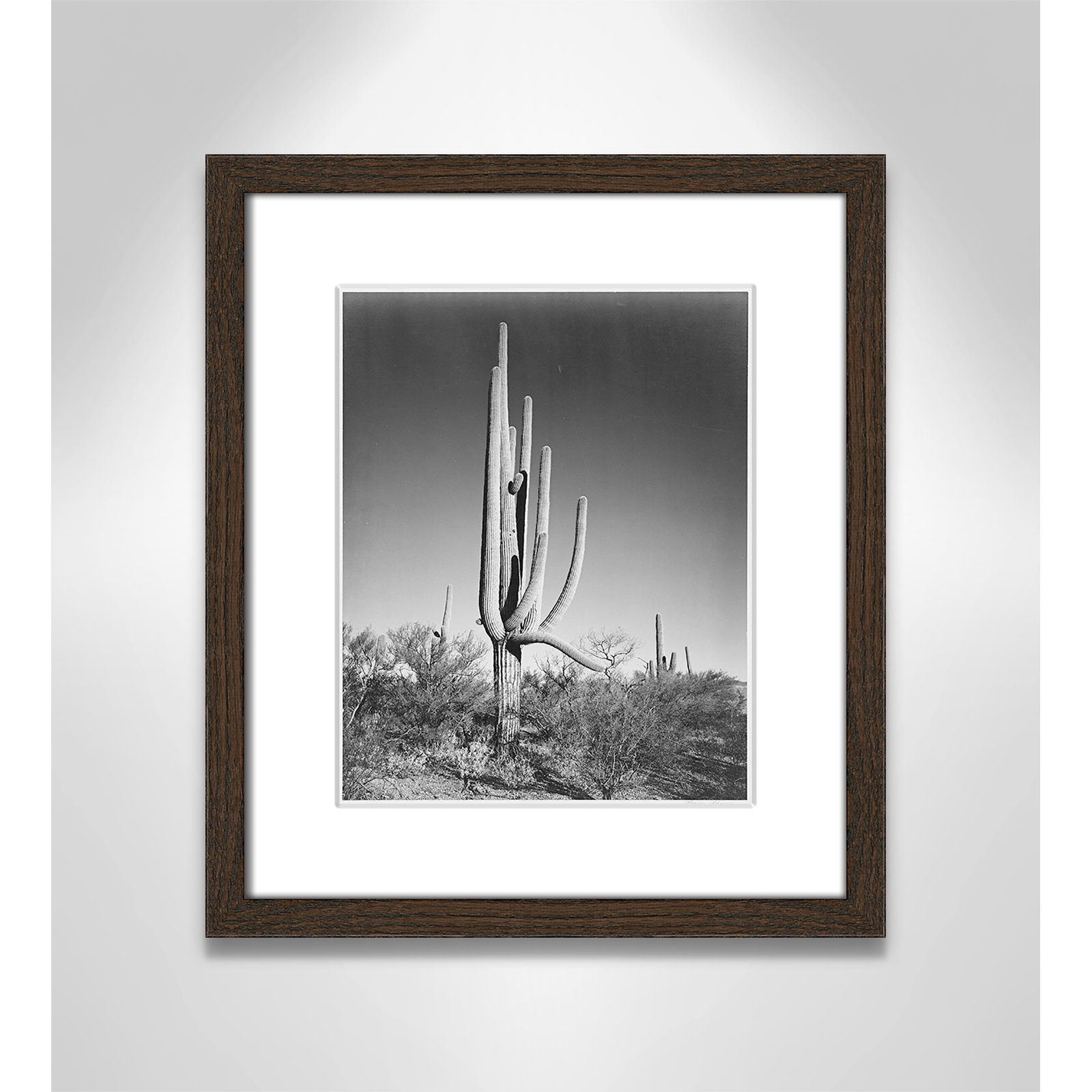 Cactus In Saguaro National Monument In Arizona by Ansel Adams, 15" H x 13" W x 0.75" D, Walnut