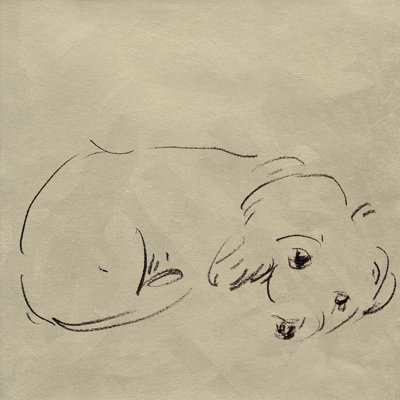 A Good Boy II by Melissa Wang - Wrapped Canvas Print