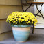 Jardinière intérieure / extérieure Chanze - 12 po x 12 po x 10 po - pot de fleurs rond en céramique à 2 compartiments - bleu / beige-1299076645-1299076648-1299076649