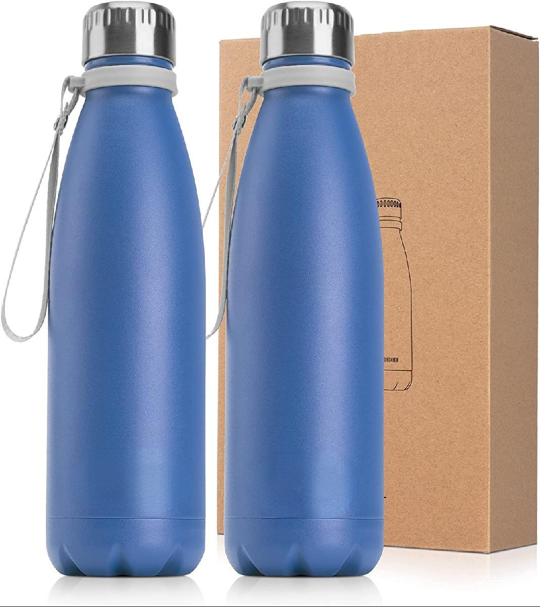 Orchids Aquae 17oz. Insulated Stainless Steel Water Bottle