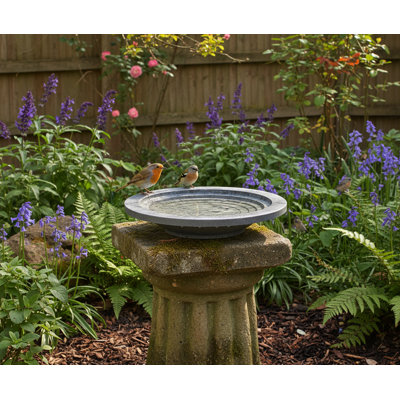 Plastic Birdbath