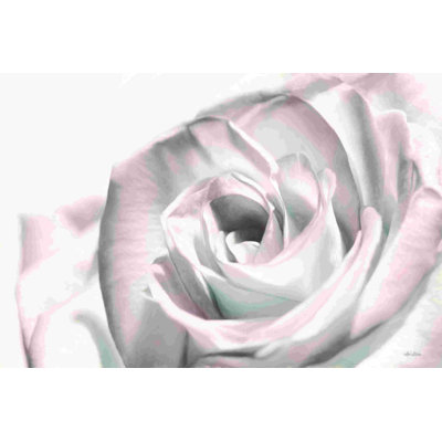 Rosé I 2883887