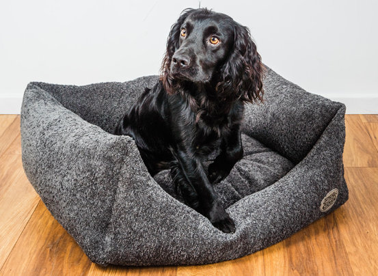 Carrie Classic dog bed Grey