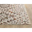 Losoya Geometric Southwestern Area Rug in Brown/Beige/Cream-616869247
