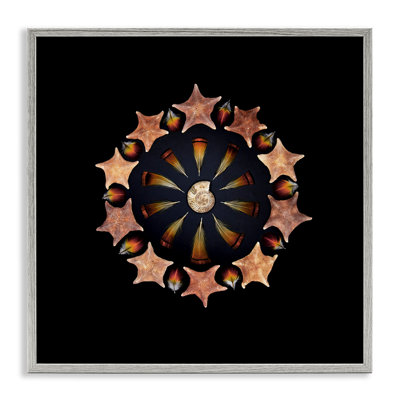 «Nautical Nature Arrangement», estampe numérique, conception de Beth Adoette