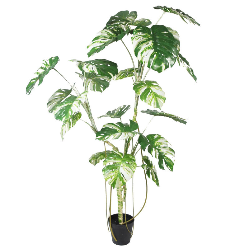 Anoushka Faux Palm Tree in Pot Liner, 210cm H x 120cm W x 120cm D