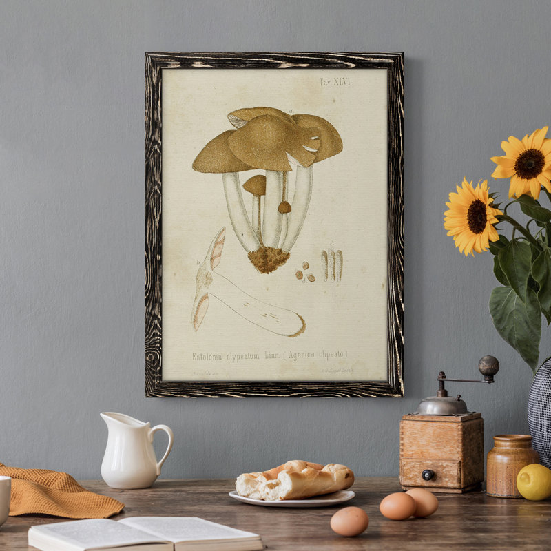 " Mushroom Varieties V ", Black Framed