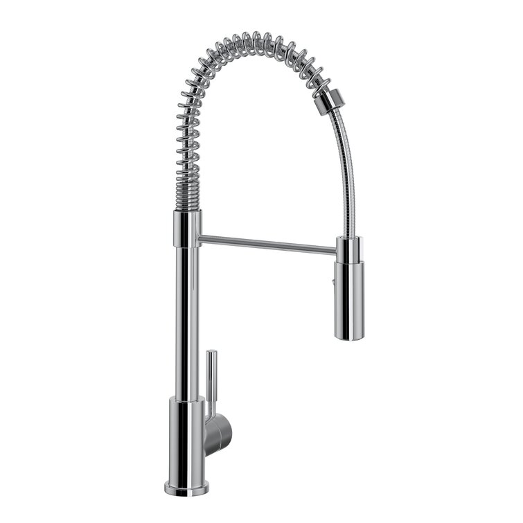 https://assets.wfcdn.com/im/60315853/resize-h755-w755%5Ecompr-r85/1344/134445722/Lux+Pull-Down+Single+Handle+Kitchen+Faucet+with+Accessories.jpg
