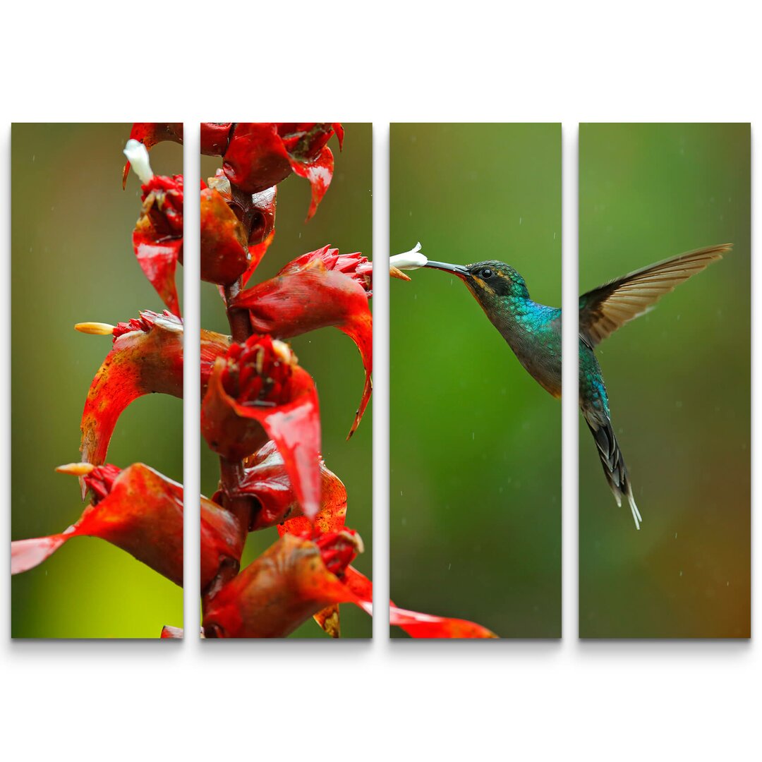 4-tlg. Leinwandbilder-Set Grüner Schattenkolibri mit roten Blumen