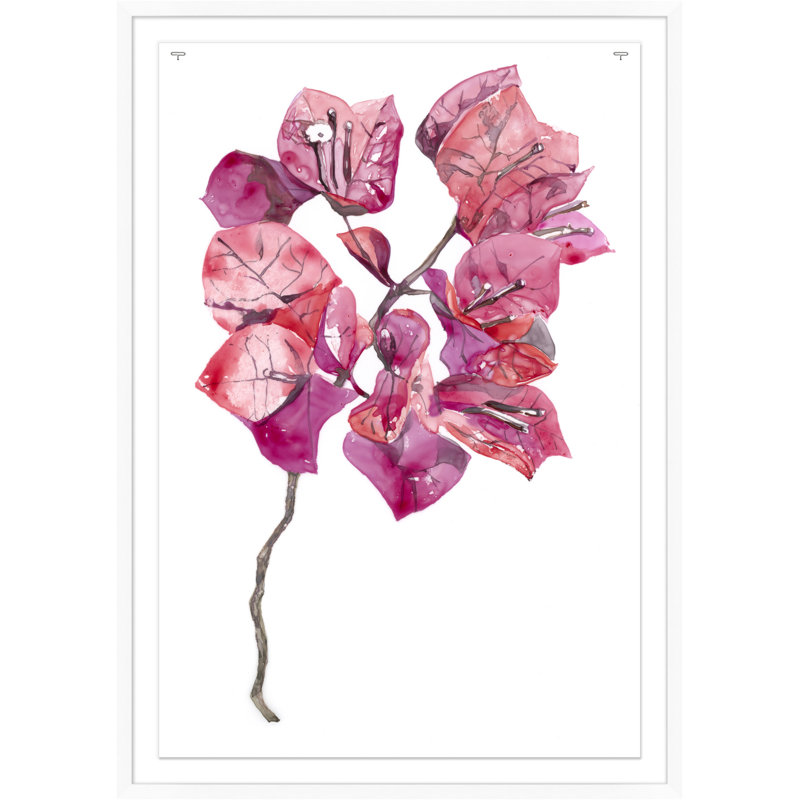 «Pink Bougainvillea 1» par Nathan Turner - Shadowbox, peinture sur papier