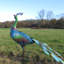 Saxondale Animals Metal Garden Statue