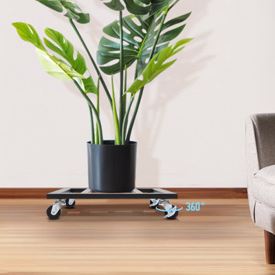 Plateau à plantes