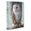 Barn Owl Vol.7 - Wrapped Canvas-61875981