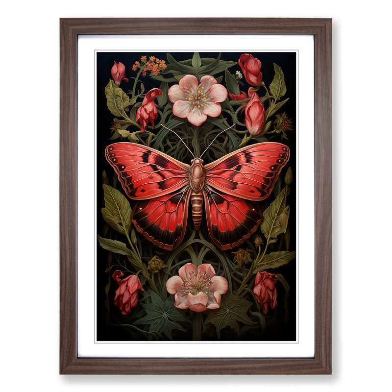 Moth Realism - Single Picture Frame Print on Wood, Walnut Framed, 64cm H x 46cm W x 2cm D