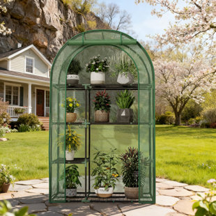 Petite serre de plein air 39 po x l 17 po x H 63 po avec abri de jardin